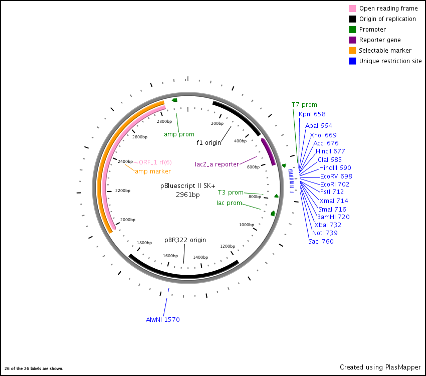 map data