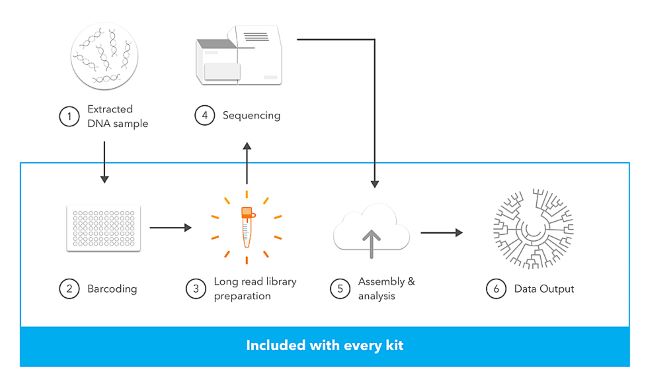 Epinext Post Bisulfite Dna Library Preparation Kit Illumina Epigentek