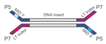 2s set a mid molecular identifier indexing kit 12 indices 4 reactions each set a 48 rxns