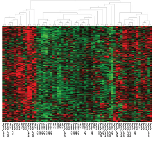 Human Genome Wide Expression Profiling By Multiplex Rt Pcr And