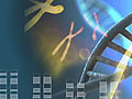 Genome Engineering