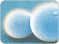 Lipid Metabolism Assays