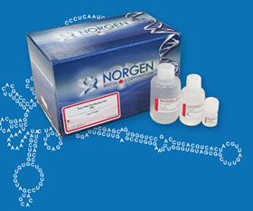 Norgen Kits