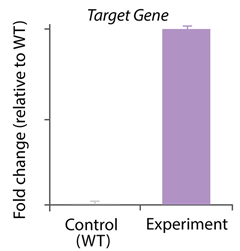 CRISPR/Cas9