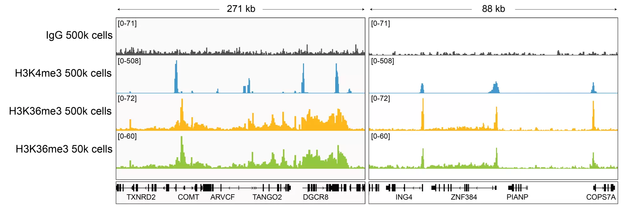 13 0058 Representative Browser Tracks