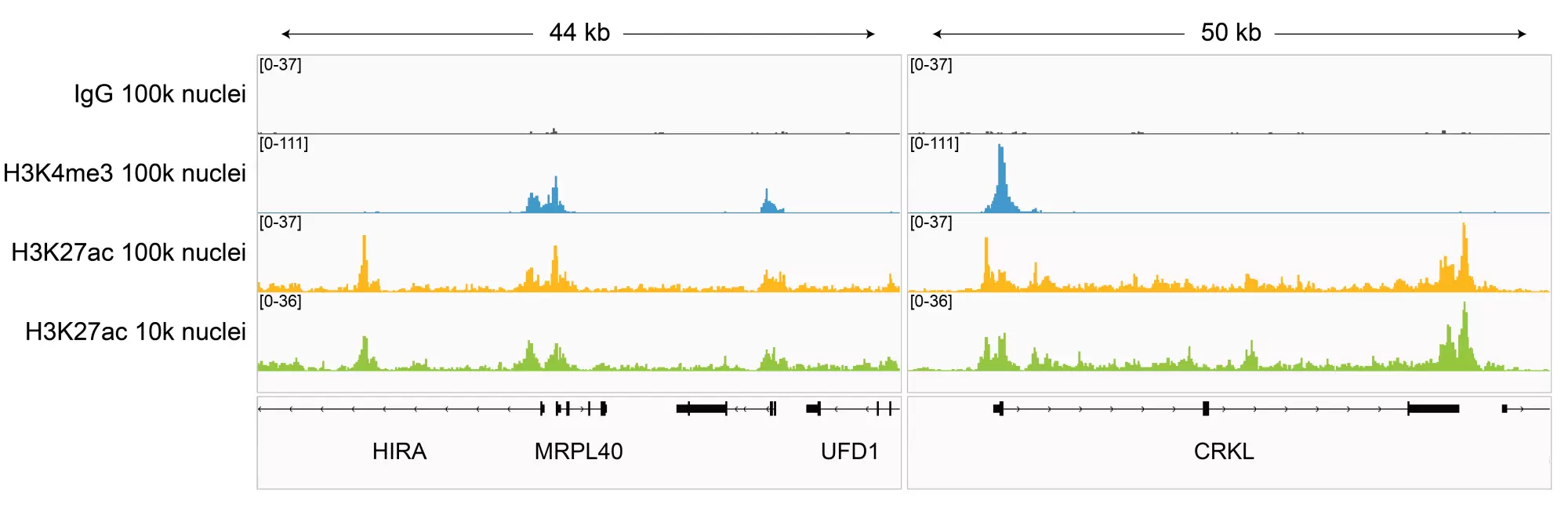 13 0059 Browser Tracks Ct Fig6