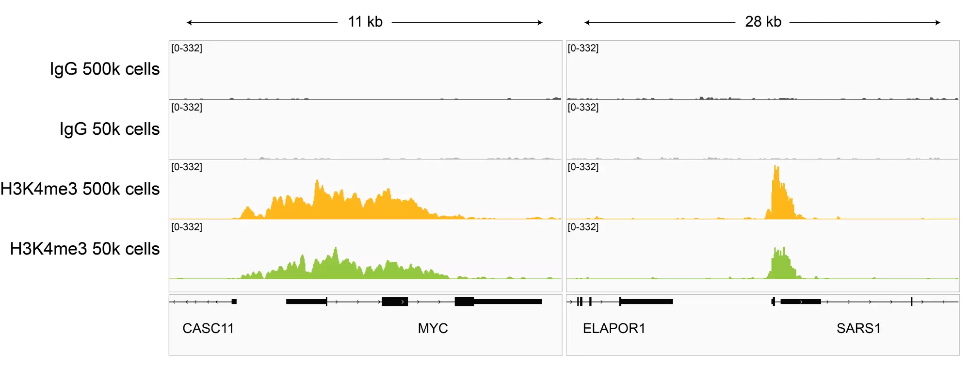 13 0060 Browser Tracks Cr Fig6