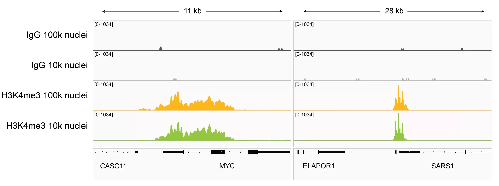 13 0060 Browser Tracks Ct Fig3