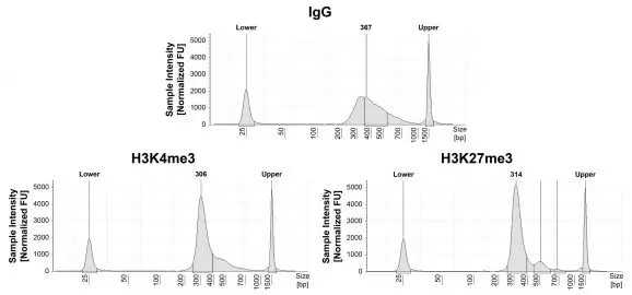14 1048 V5 Dna Fragment Size Distribution