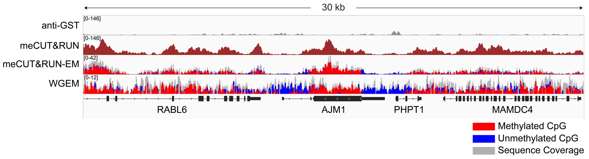 14 1060 24 Gene Browser Tracks
