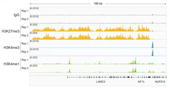 14 1102 V4 Gene Browser Tracks Fig5