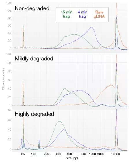 24mar Library Prep Dna Qualities 450x561