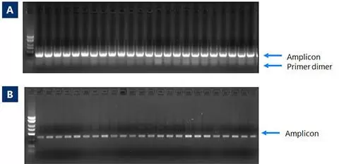 61900 Ngs Norm Fig1