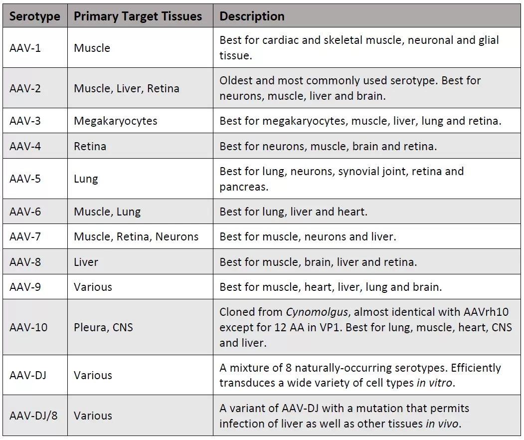 Aav Serotypes