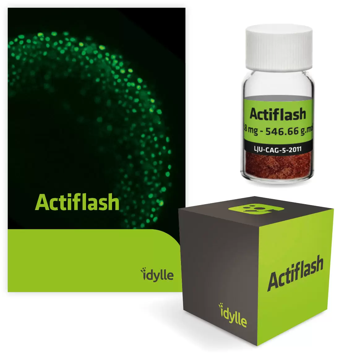 Actiflash Packshot