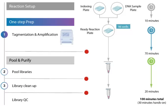 Agriprep Workflow