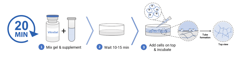Akk Workflow 2d 750