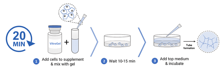 Akk Workflow 3d 780