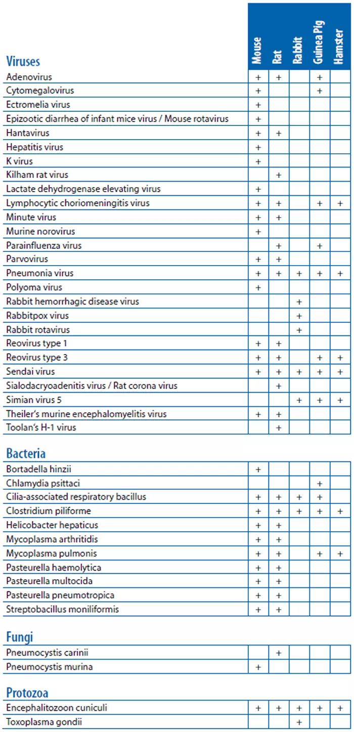 Animal Pathogens