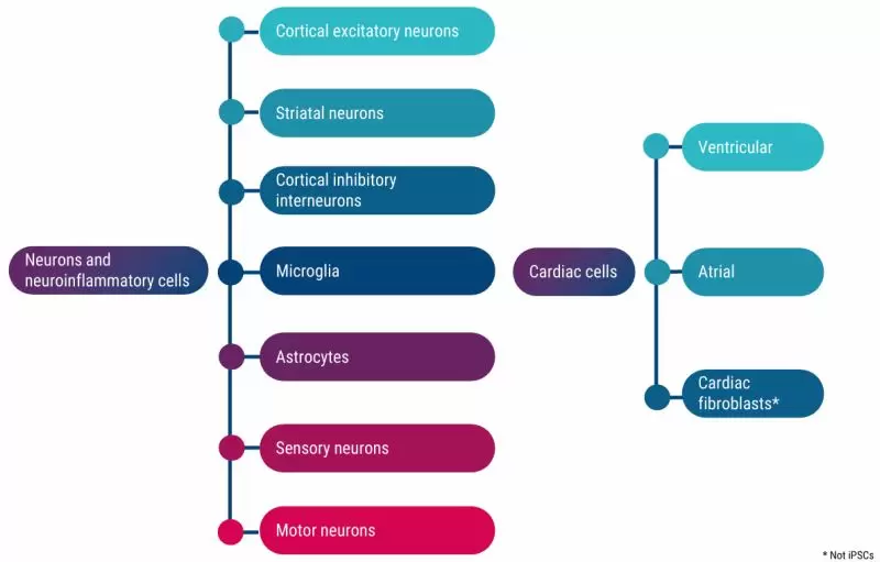 Axocells Overview