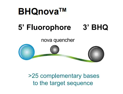 Bhqnova Probes