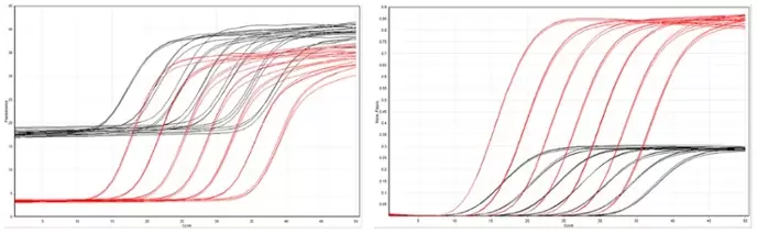 Bhqnova Amplification Curves