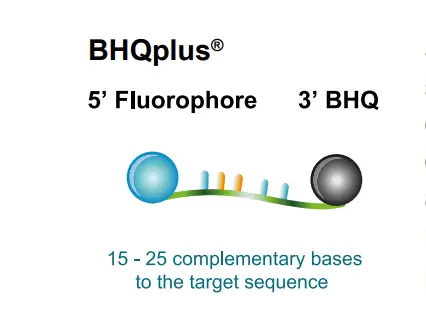 Bhqplus Probes