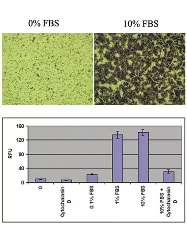 Cba 100 101 Fig 2 0