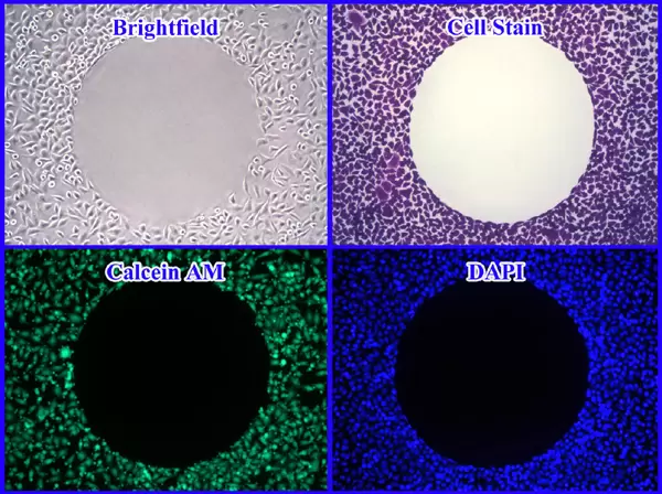Cba 125 Fig 2