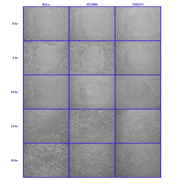 Cba 125 Fig 3