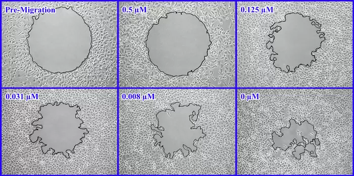 Cba 125 Fig 4