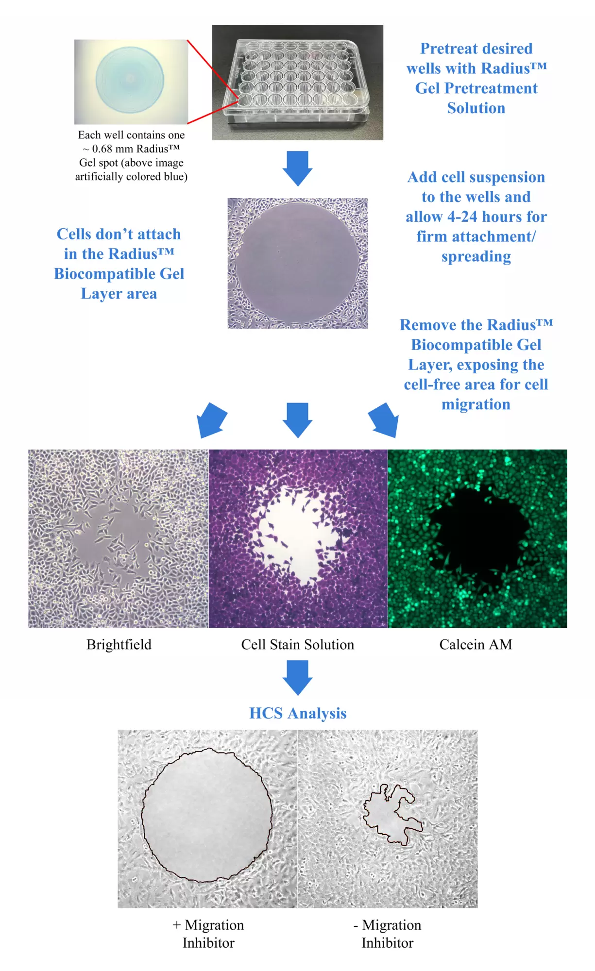 Cba 5037 Fig 1
