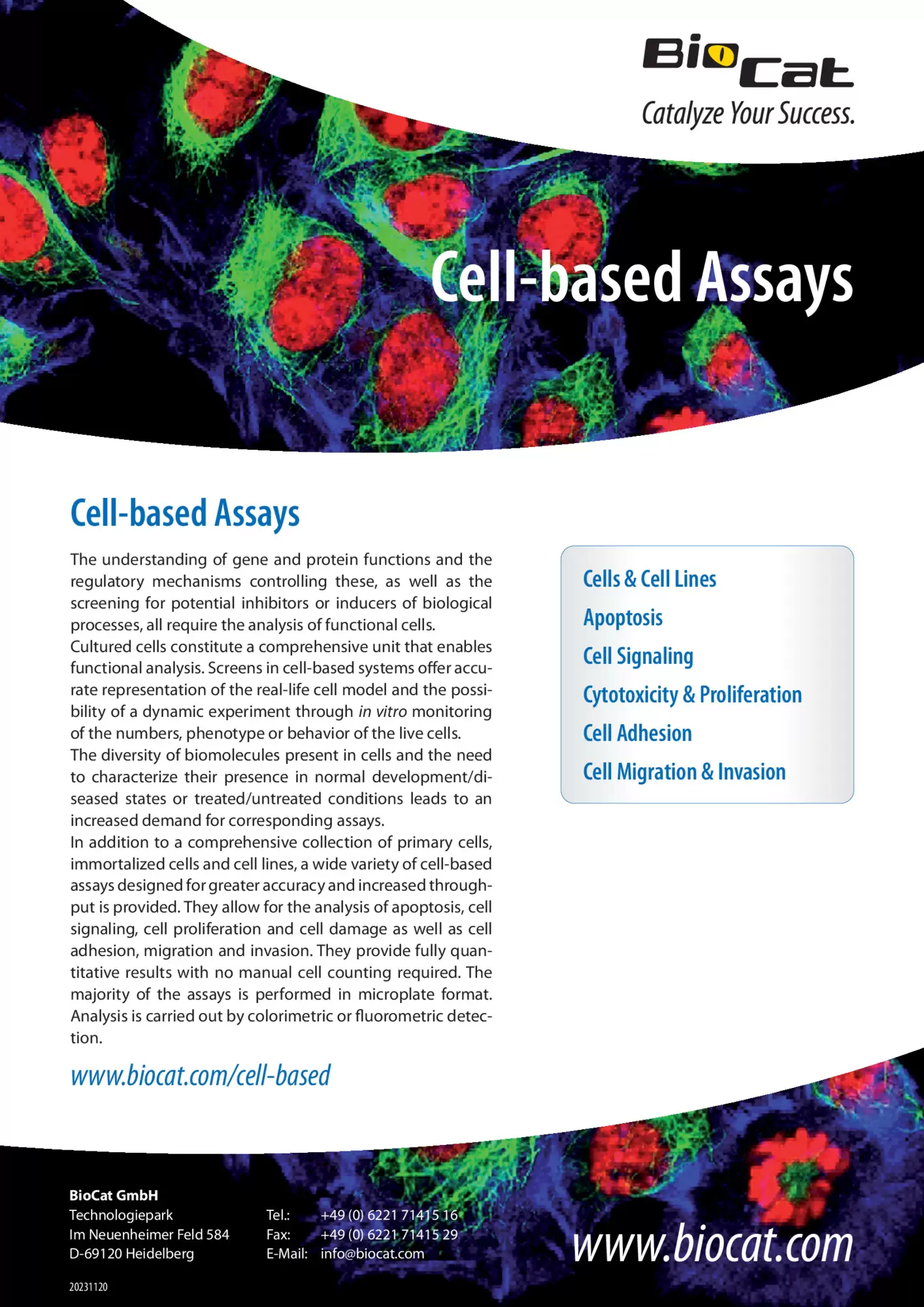 Cell-based_Assays_20231120.pdf Preview