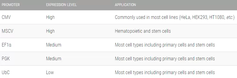 Cell Tracking Promoters