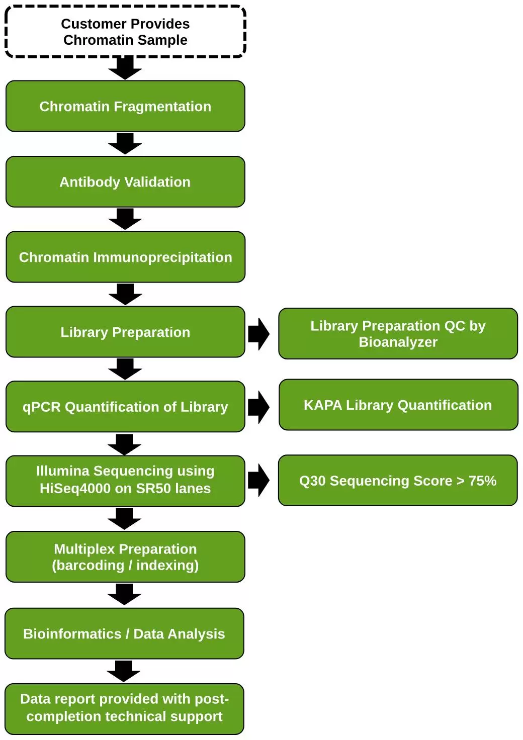 Chip Seq Service Workflow