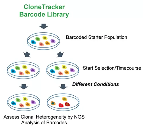 Clonetracker