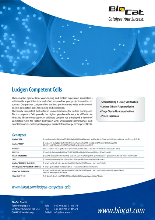 Competent_Cells_220225.pdf Preview