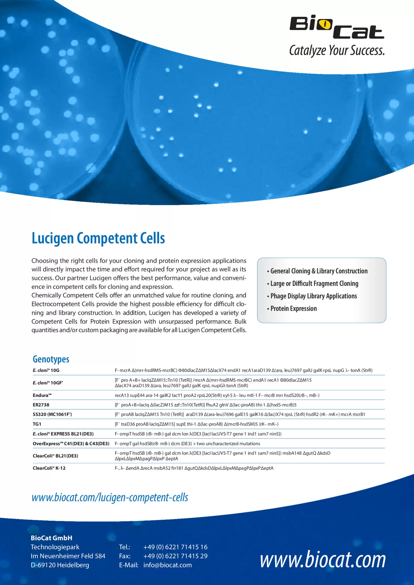 Competent_Cells_231113.pdf Preview