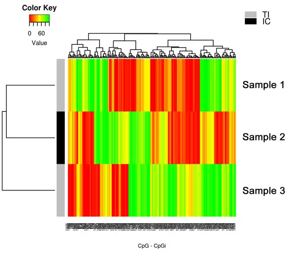 Cpg Cpgi Methylation Heatmap