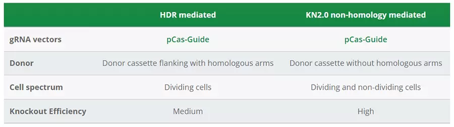 Crispr Knockout Kits