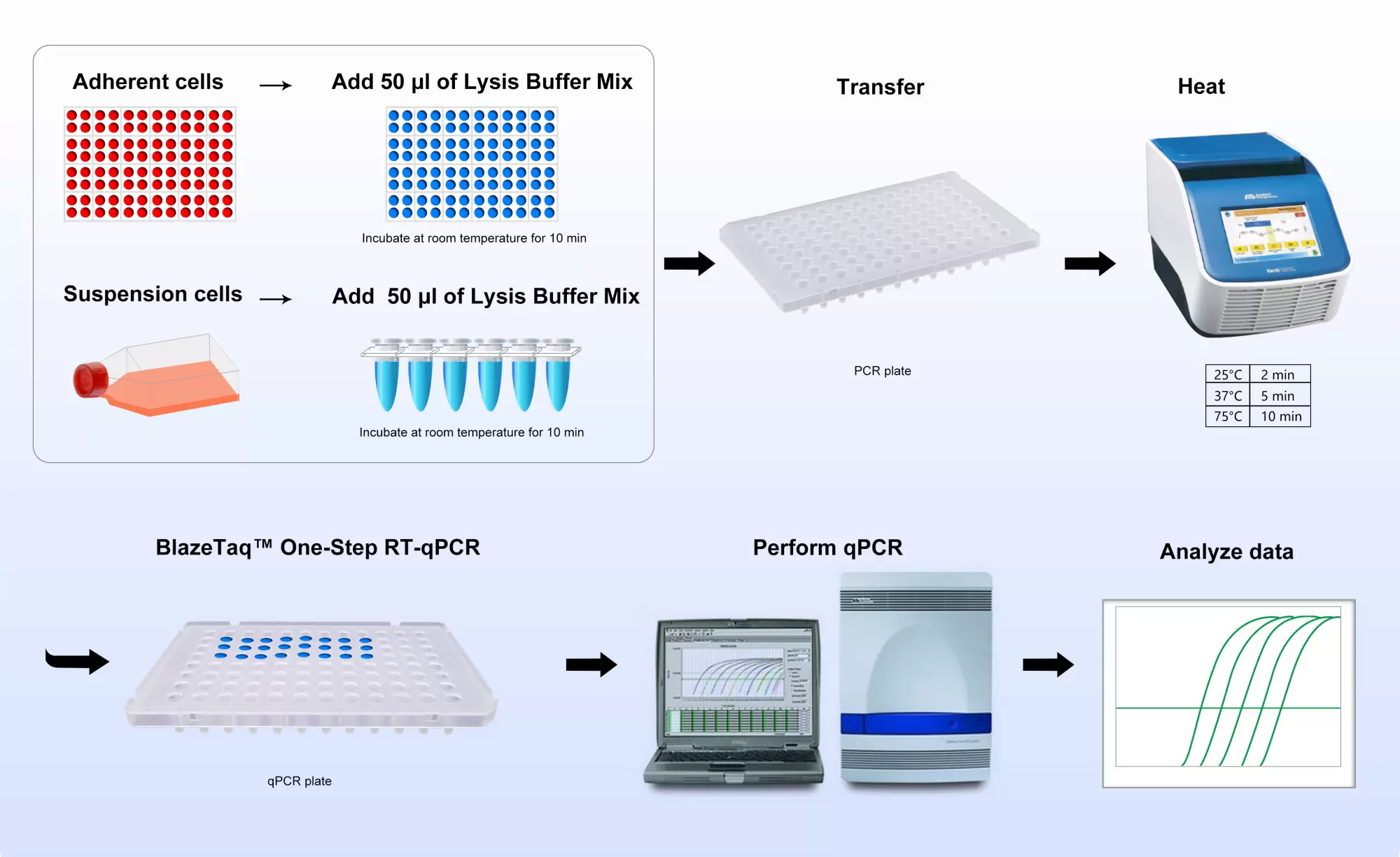 Cytoct™ Workflow
