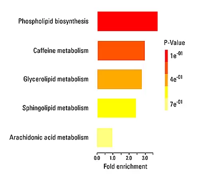 Differential Analysis Lipidomics Metabolomics 03