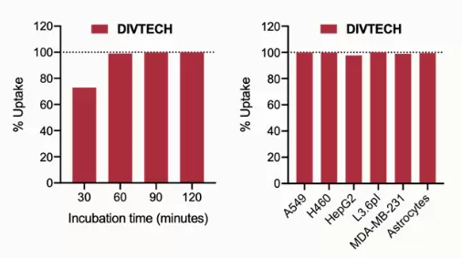 Diversa Fluogreen Cell Internalization Flow Cyt
