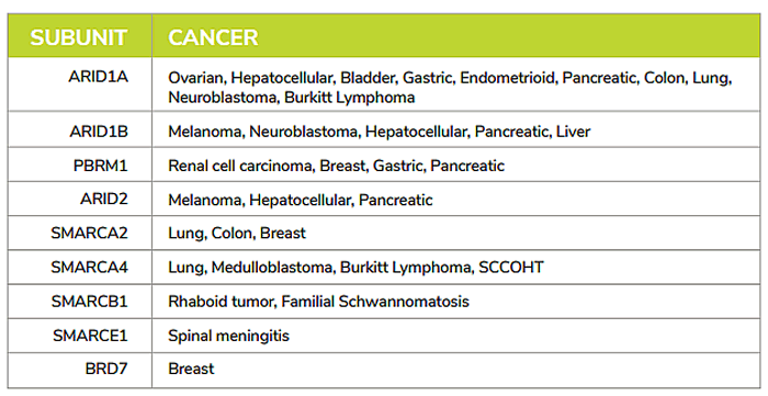 Epidyne Cancer Genes Sh 700