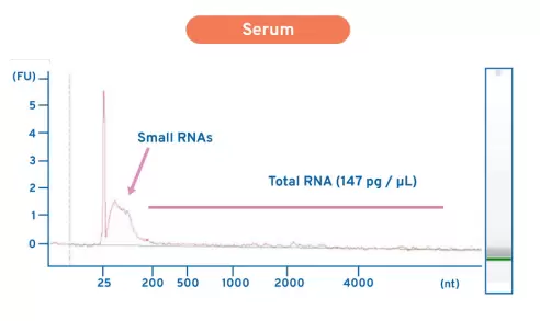 Eq Ultrapure High Quality Ev Rna