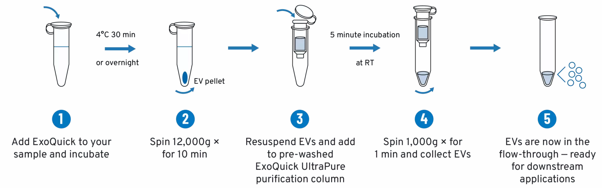 Eq Ultrapure Workflow