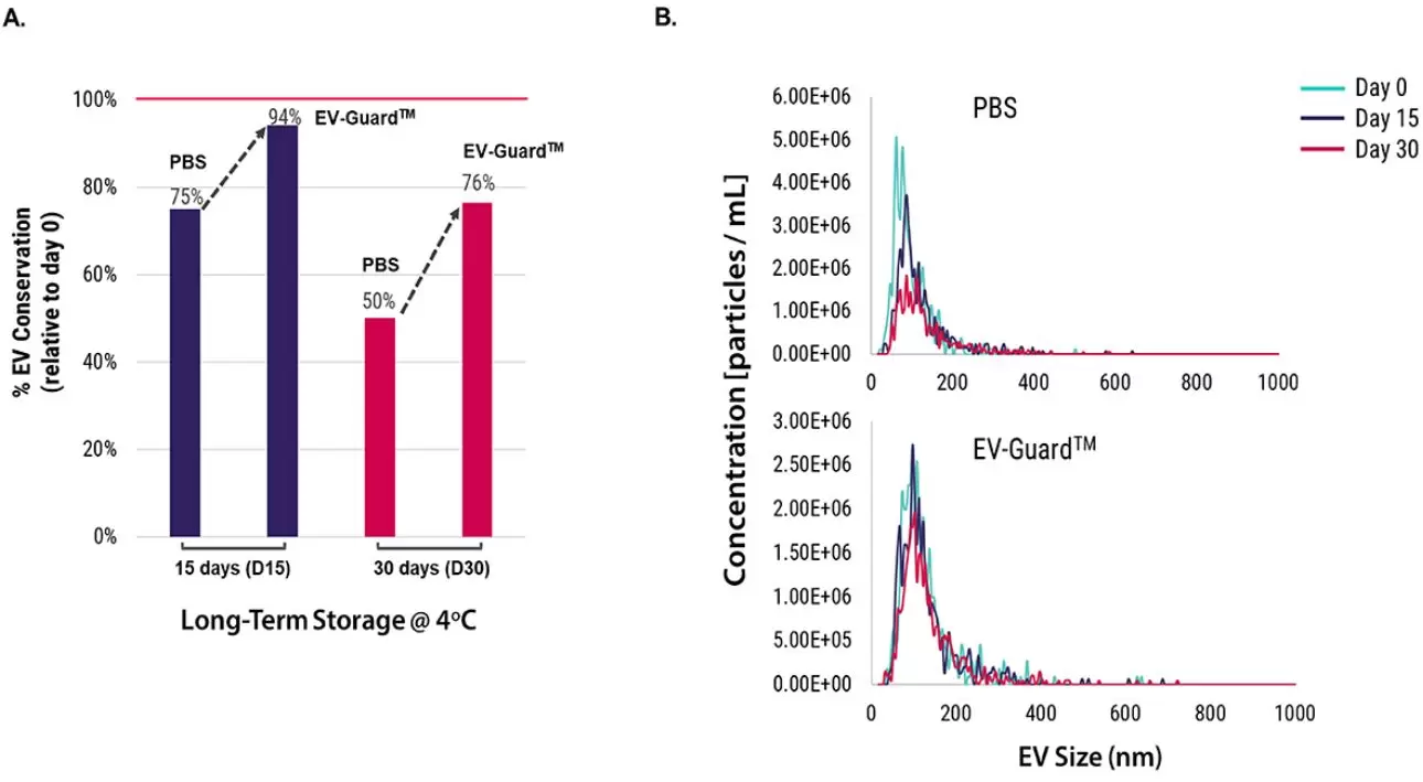 Ev Guard 2