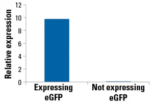 Every100b Fig 5 Everyrna Can Isolate Mrna