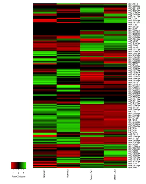 Every200b Fig.3 Mirna Profiling