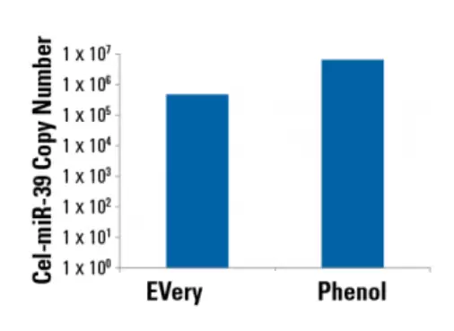 Every200b Fig1 Cdna